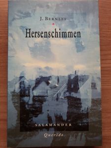 Hersenschimmen