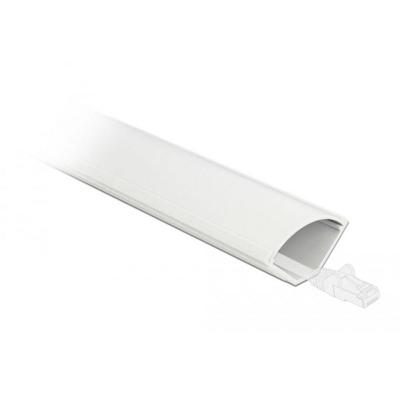Delock 20714 Hoekkanaal Binnenhoek (l x b) 1 m x 43 mm Wit 1 stuk(s)