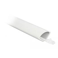 Delock 20714 Hoekkanaal Binnenhoek (l x b) 1 m x 43 mm Wit 1 stuk(s)