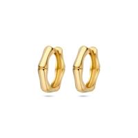 Verfijnde 14k Geelgouden Klapoorringen - Afmetingen 16x3.5mm