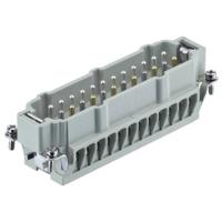Harting Stekkerinzetstuk 09330242689 Inhoud: 1 stuk(s)