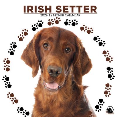 Ierse Setter Kalender 2026