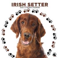 Ierse Setter Kalender 2026
