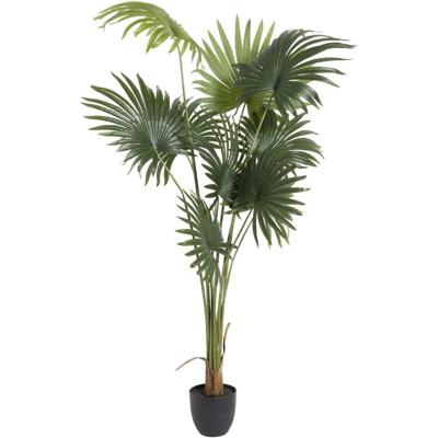Leen Bakker - Kunstplant Waaierpalm - In-pot - /zwart - 180 Cm - Polyester - Groen
