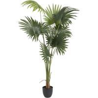 Leen Bakker - Kunstplant Waaierpalm - In-pot - /zwart - 180 Cm - Polyester - Groen