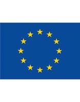 Printwear FLAGEUR Flag Europe