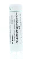 Homeoden Heel Gelsemium sempervirens MK 6 Gram