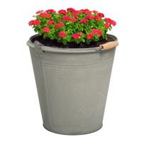 Plantenpot/bloempot emmer Eddy - zink - zilver - D30 X H29 cm - thumbnail