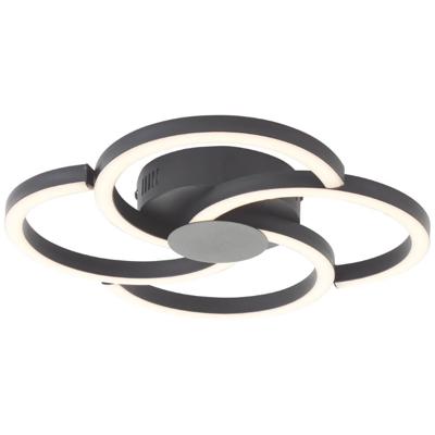Brilliant Design plafondlampFico zwart - G80660/06