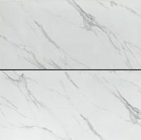 Satvario grey hoogglans rett 60x120