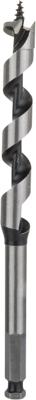Bosch Accessoires Houtslangenboor, zeskant 13 x 100 x 160 mm, d 7,9 mm 1st - 2608585700