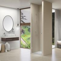 Nisdeur Van Rijn Draaideur 8 mm Met Vaste Wand 87x200 cm Chroom Incl Zwart Muurprofiel van Rijn