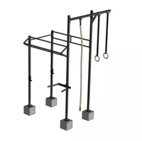 PTessentials Crossfit Outdoor RIG V5