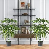 Set van 2 Kunstplanten 100 cm Kunstboom met Pot Stammen en Verstelbare Takken Kunstplant voor Thuis Kantoor Bamboedecoratie