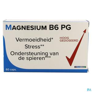 Magnesium B6 Pg Pharmagenerix Caps 60