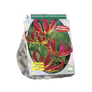 Gloriosa