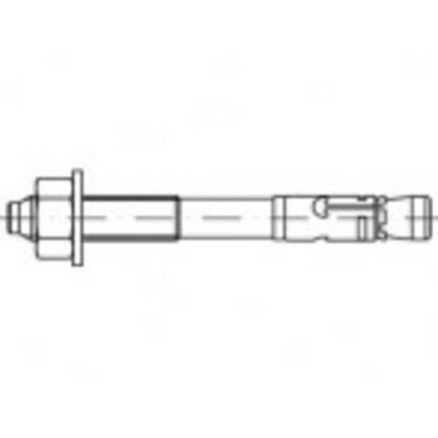 Alstertaler Schrauben & Präzisionsteile 887410100100100 Expressanker 100 mm 50 stuk(s)