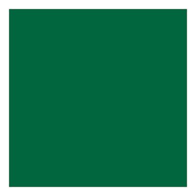 Creativ Company Linoleum verf - groen, 250ml