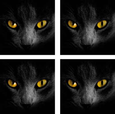 Zwarte kat halloween onderzetter