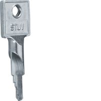 VZ312  - Cylinder key for enclosure VZ312