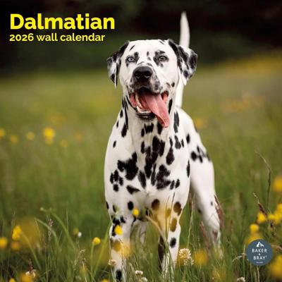 Dalmatier Kalender 2026