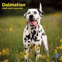 Dalmatier Kalender 2026