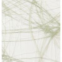 Vaessen Creative • sizoweb 25mx30cm mosgroen