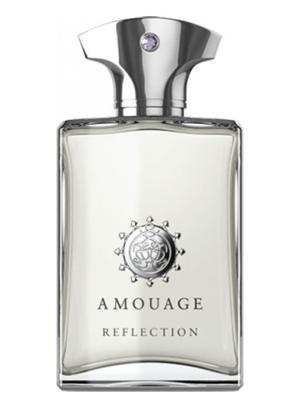 Amouage Power Line Reflection Man Reflection Eau de Parfum 100ml | Heren Parfum