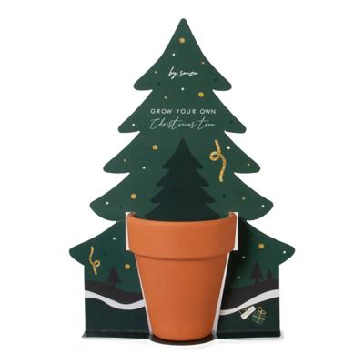 'Senza - Groei je eigen kerstboom' kopen? | FOR YOU GIFTS