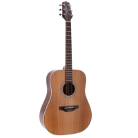 Takamine GD20-NS akoestische westerngitaar