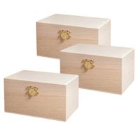 Houten kistje/box met sluiting en deksel - 3x - 14 x 8 x 7 cm - Sieraden/spulletjes/sleutels