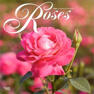 Roses Kalender 2026