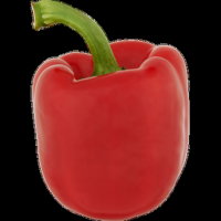 Jumbo Paprika Rood