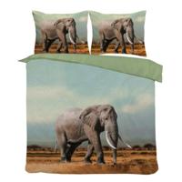 Hush Elephant