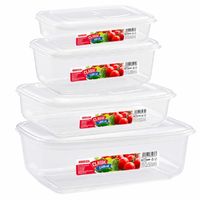 Set van 14x stuks diepvries vershoudbakjes met stevige deksel in 4x verschillende formaten Set van 14x stuks diepvries vershoudbakjes met stevige deksel in 4x verschillende formaten