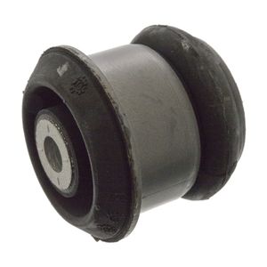 Aslichaamlager 07609