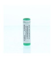 Lycopodium clavatum D30