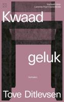 Kwaad geluk (Paperback)