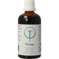 TW Plantago lanceolata