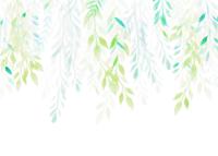 Noordwand Komar Colours Fotobehang Summer Leaves - X7-1096