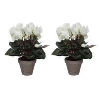 Mica Decorations Kunstplant - 2x stuks - cyclaam - wit - in pot - 30 cm