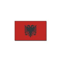 Landen thema vlag Albanie 90 x 150 cm feestversiering