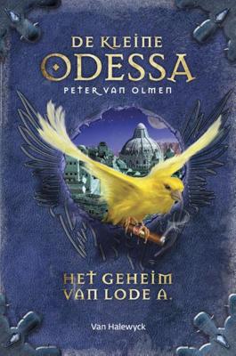 Het geheim van Lode A (Hardback)