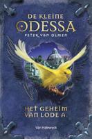 Het geheim van Lode A (Hardback)
