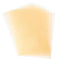 Sizzix • surfacez metallic shrink plastic gold
