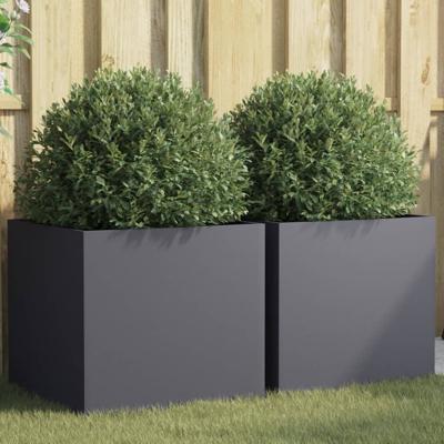VidaXL Plantenbakken 2 st 49x47x46 cm staal antracietkleurig