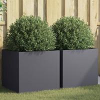 VidaXL Plantenbakken 2 st 49x47x46 cm staal antracietkleurig