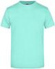 James & Nicholson JN002 Round-T Heavy - Mint - L