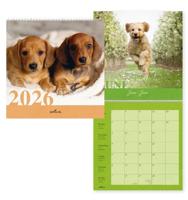 Dogs Kalender 2026