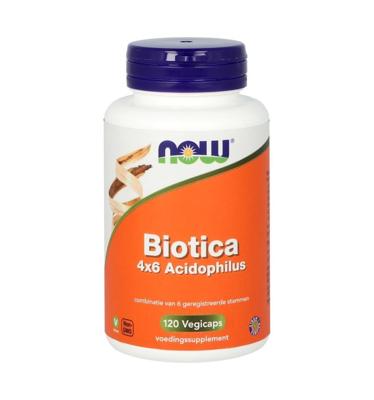 Biotica 4 x 6 acidophilus
